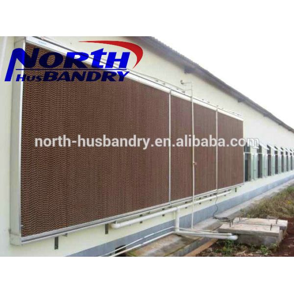 Exhaust Fan