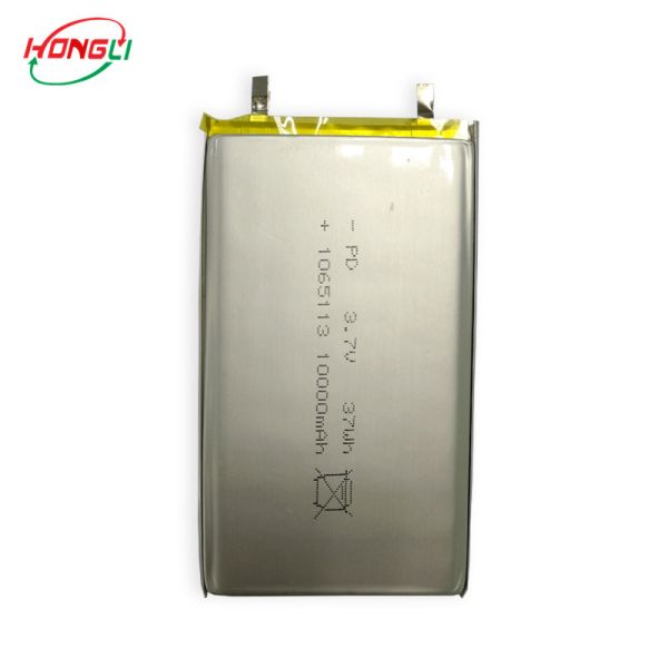10000mAh Power Bank Battery , Rechargeable Battery Pack 10*65*113mm