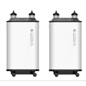 Remote Control Intelligent Alarm 10 Liter Oxygen Concentrator