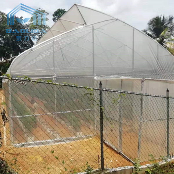 Customized High Tunnel Polytunnel Double Film Greenhouse Sawtooth Tunnel Plastic