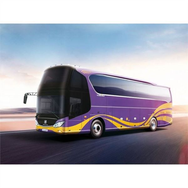 Asiastar Dual Windshields Luxury Coach Bus Body Length 12000mm