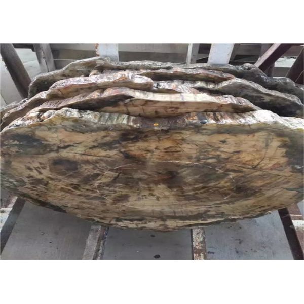 Petrified Wood Semi Precious Stone Slabs Smooth Surface Customized Cut