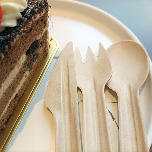 Buy Disposable Biodegradable Sugarcane Bagasse Cutlery at wholesale prices