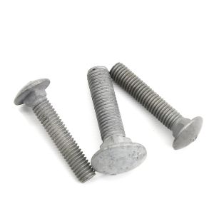 Grade 10.9 Hot Dipped Galvanized Carriage Bolt M10
