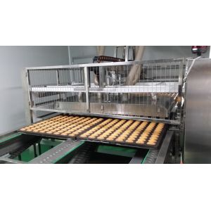 CE 300KG/H 25CM insulation Tunnel Oven Automatic Cake Production Line