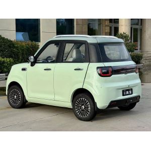 3000w Four Wheeler Electric Car Passenger Four Wheeler Battery Car 40km/H