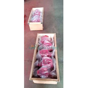 Wellhead Hydraulic API 6A High Pressure Plug Valve