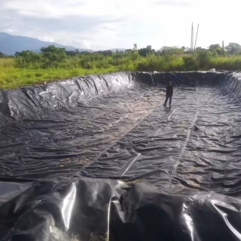Wholesale Plastic Drainage Sheet Waterproofing Drainage Board Geomembrane for