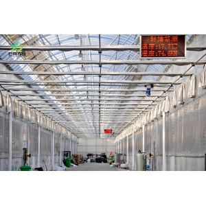 Steel Structure Humidity-Controlled Growing System Juxiang's Cutting-Edge