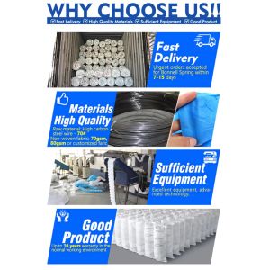 Pocket Spring Supplier Custom Size Mattress Springs Pocket Coil Spring