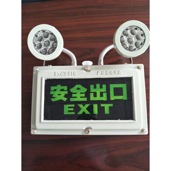 Flameproof Emergency Light The Ideal Emergency Lighting Solution for Industrial