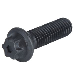 Quality Carbon Steel Parts Tamper Proof Screw Patented Anti-Theft Bolt M6 M8 M10 M12 Security Bolt for sale