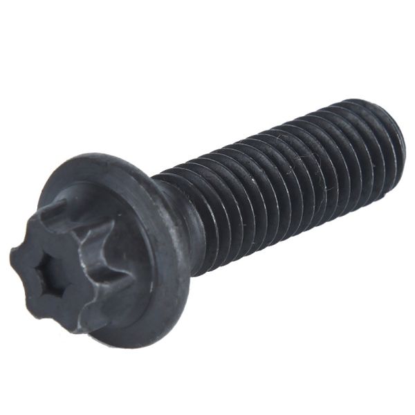 Carbon Steel Parts Tamper Proof Screw Patented Anti-Theft Bolt M6 M8 M10 M12