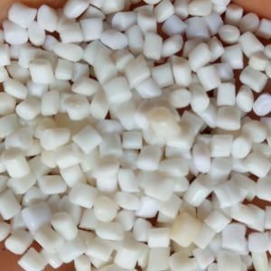 LANXESS B1505 PBT Plastic Material Food Grade Electronic PBT Polybutylene