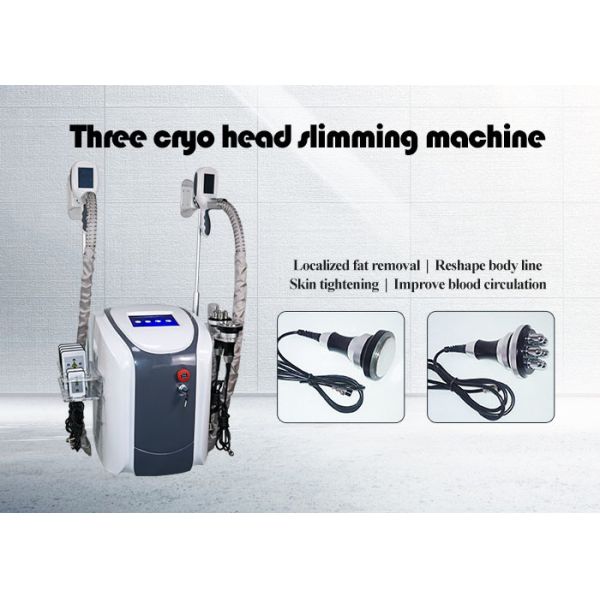 Buy Slimming Body Fat Removal Criolipolisis machine at wholesale prices