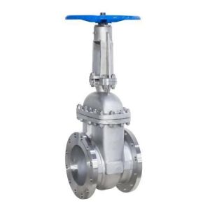 Oil Media ANSI ISO/Coc/CE Flanged Gate Valve Z40/Z41 30 Days for Hassle-Free