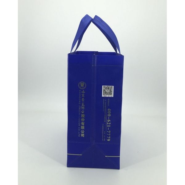 China Factory Promotional Custom Shopping PP Non Woven Bag