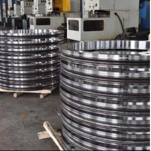 9129521 Slewing Bearing Slewing Ring Excavator ZAX450