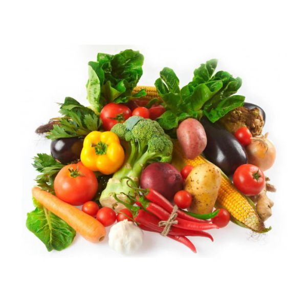 Stainless Steel Vegetables Spin Dryer Machine 70L 900r/min