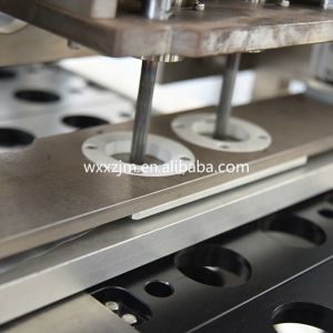 Professional Tea Powder Coffee Capsules Packaging Machine 5kw