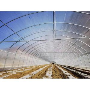 Sides Ventilation Plastic Tomato Greenhouse Resists Corrosion
