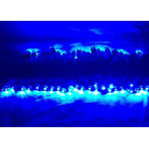 12mm LED Pixel Light