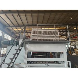 Fully Automatic 5x8 Molds Paper Egg Tray Machine 5000pcs/h