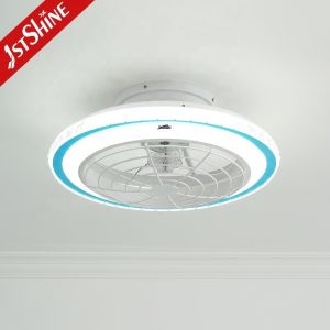 Small 20 Inch Flush Mount LED Ceiling Fan with Light and Color Temperature 3000