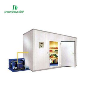 380V Cold Storage Room Refrigerator With Famous Brand Copeland Compressor