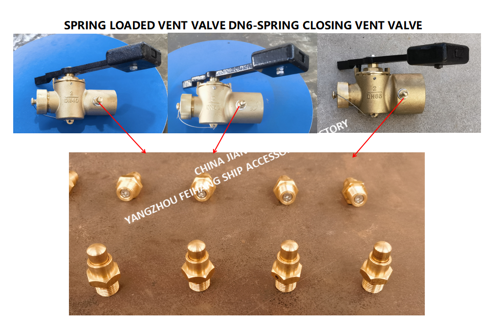 DN6 Spring Loaded Vent Valve with Thread M13 Connection Compliant with CB/T3778