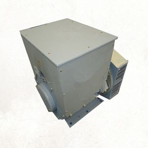 750 Rpm Brushless Synchronous Generator with 3200A Current