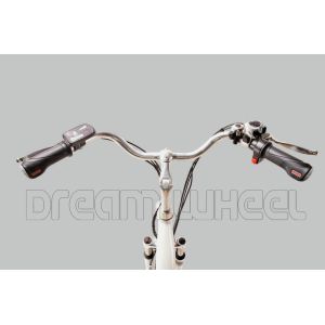 250W 24" Ladies Electric Urban Bike With Shimano Derailleur