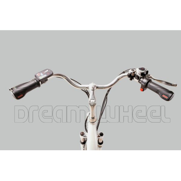 250W 24" Ladies Electric Urban Bike With Shimano Derailleur