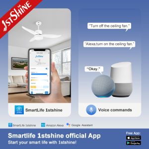 Modern Indoor Plastic Ceiling Fan With Light And Remote Control 3 Speed