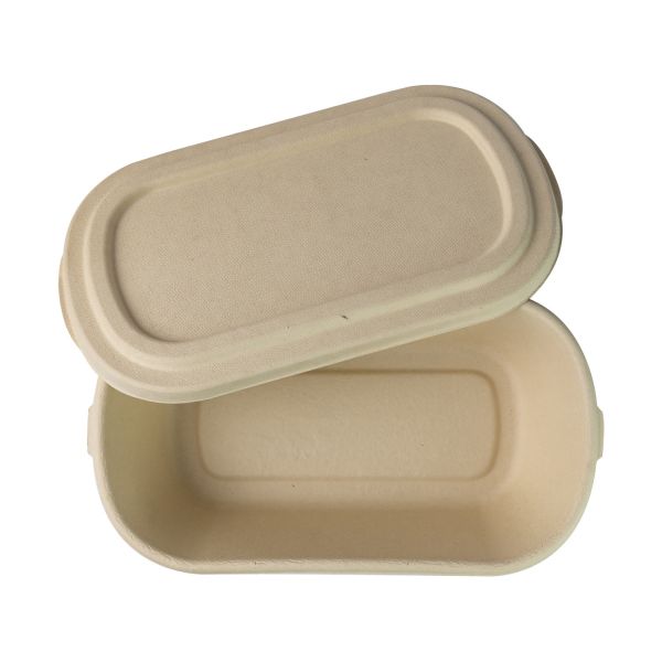 Buy Biodegradable Disposable Sugarcane Bagasse takeaway Containers Box at wholesale prices