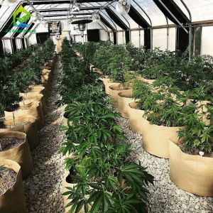 ODM Light Dep 100% Blackout 50' X 100' Greenhouse For Seedlings