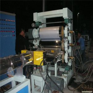 PP Blister Sheet Extrusion Line PP Thermoforming Extrusion Process Blister Sheet