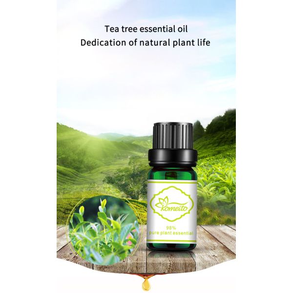 MSDS Tea Tree 100% Pure Plant Essential Oil For Aroma Diffuser