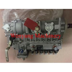 Supply China Cummins engine spare parts injection pump 49994681