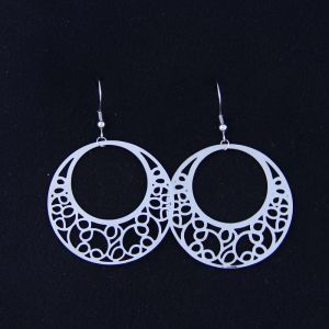 Fashion High Quality Ladies Women Girls Stainless Steel Earrings LEF125