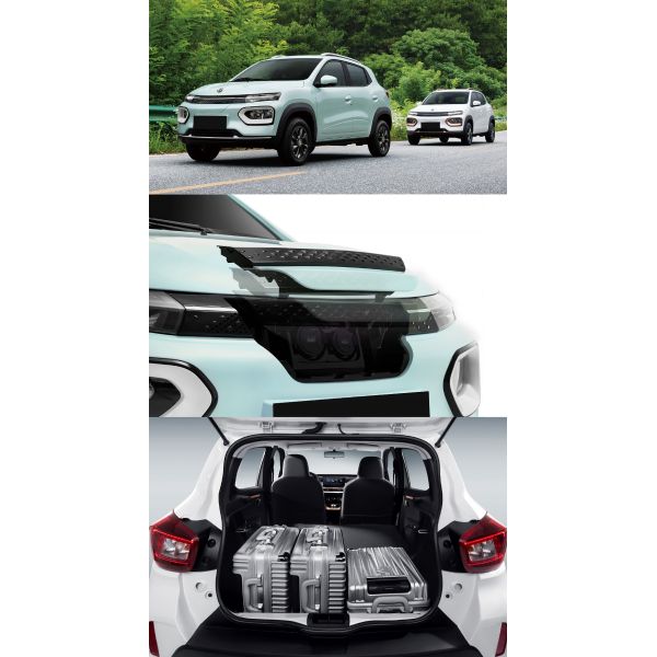 Discover the Perfect Combination of Style and Performance with Dolphin Electric Vehicles' 500cc Mini Car Araba Electrique Adulte