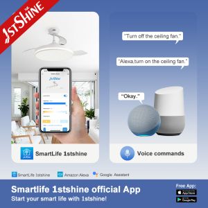 42 Inch Invisible Ceiling Fan with Starry Light - Sleek & Modern Design