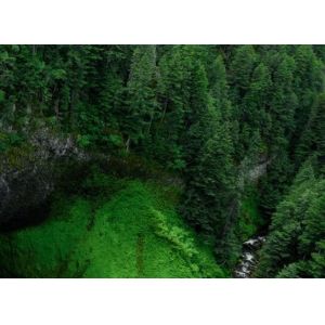 Quality 764-3205-007 komori machine gripper 764-3205-06S komori original gripper for sale