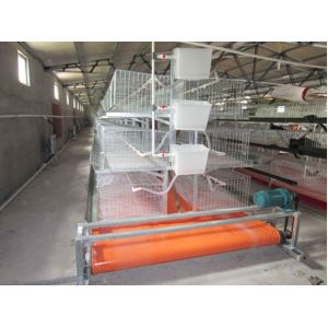 Self Cleaning Durable PVC Conveyor Belt For Chicken House 1000*1000D