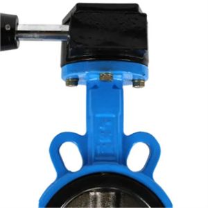 6Inch 150mm Ductile Iron Body NBR Rubber Sleeve Clamp Center Line Butterfly