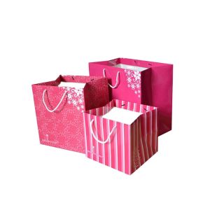 Recyclable Luxury Printed Paper Gift Bags Matt Lamination Aqueous Coating
