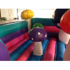 Multi - Play PVC Fabric Inflatable Fun City Mushroom Bounce House 6x4m