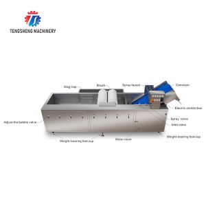 250KG Fruit and vegetable washing machine automatic sterilization washing