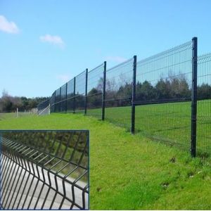 RAL 6005 Green Garden Wire Mesh Fencing