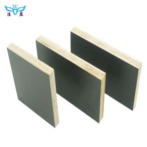 Eucalyptus 18mm Film Face Marine Plywood For Construction